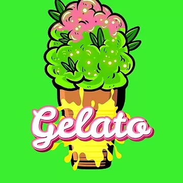 Gelato 41 10g